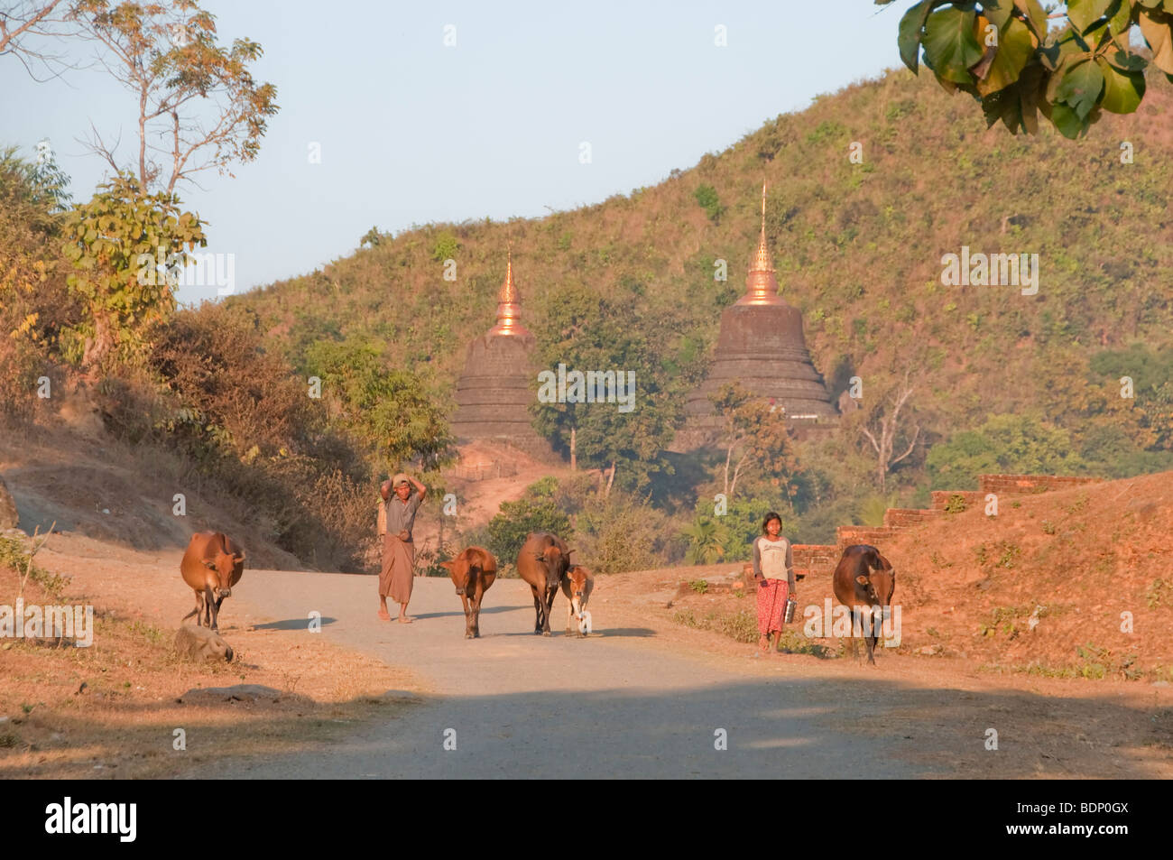 Straßenszene auf typischen Feldweg in westlichen Birma unter den vielen Tempeln gefunden in der Nähe von Mrauk U. nördlich von Sittwe in Mrauk U, Rakhin Stockfoto