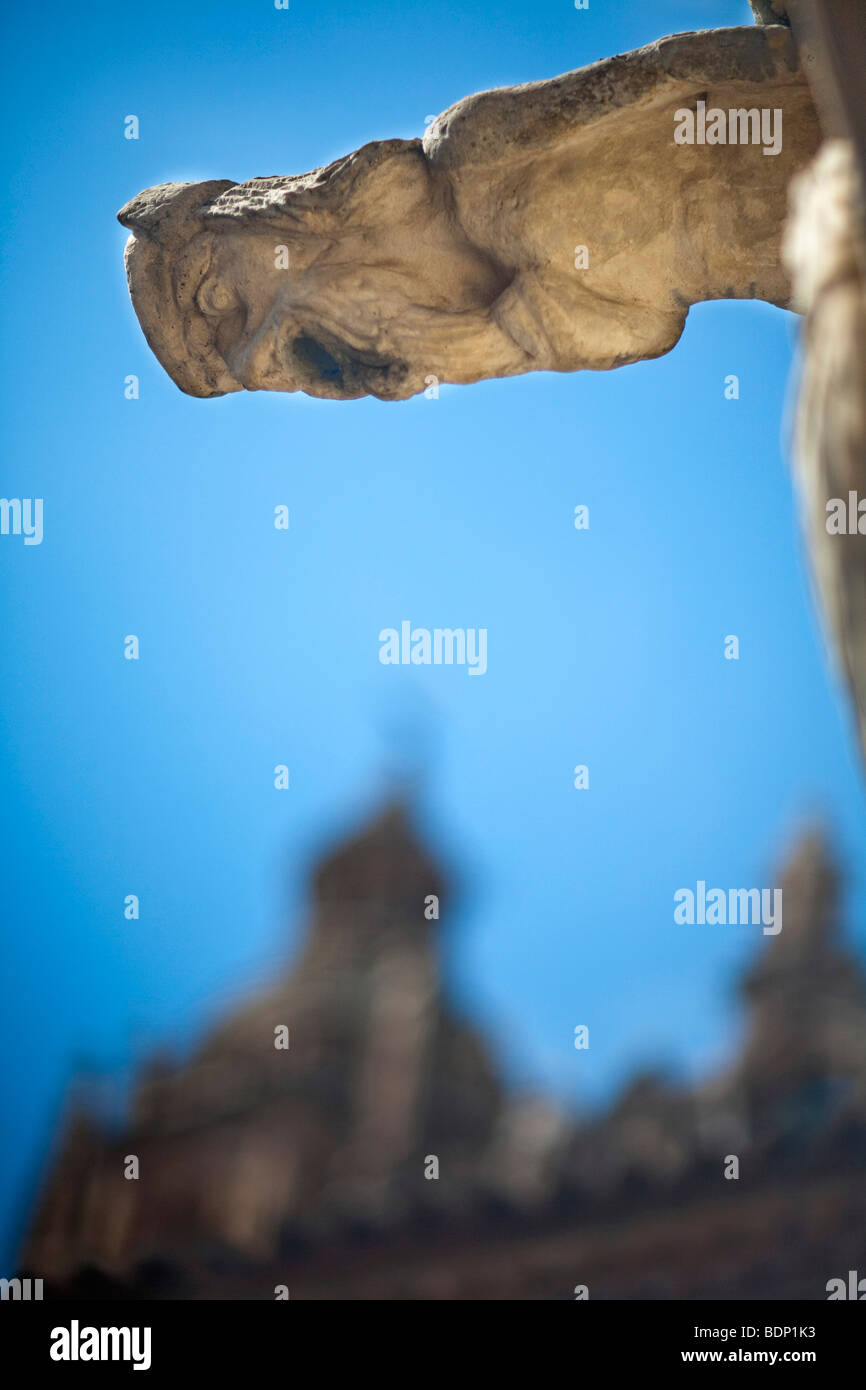 Wasserspeier aus dem Haus Schalen mit der Kleriker-Kirche auf dem Hintergrund, Salamanca, Spanien Stockfoto