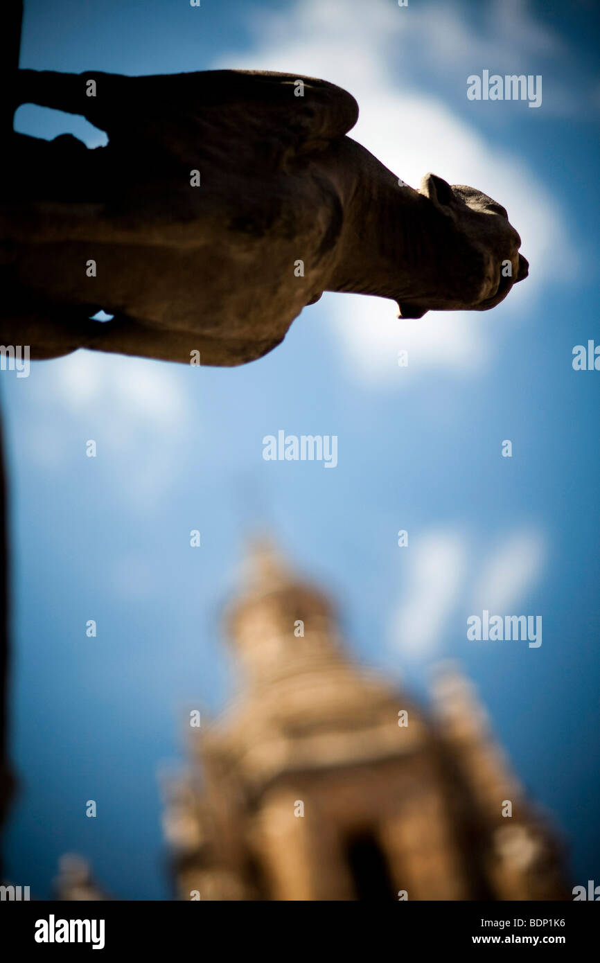 Wasserspeier aus dem Haus Schalen mit der Kleriker-Kirche auf dem Hintergrund, Salamanca, Spanien Stockfoto