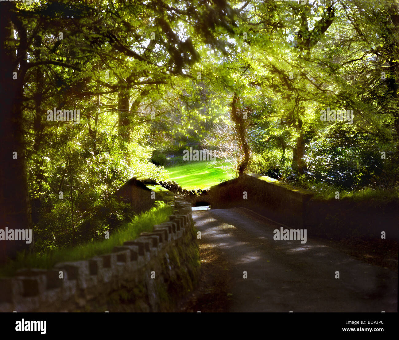Eine ländliche Szene mit Blick auf eine alte Brücke unter dem Schatten der Laubbäume auf grüner Weide Stockfoto