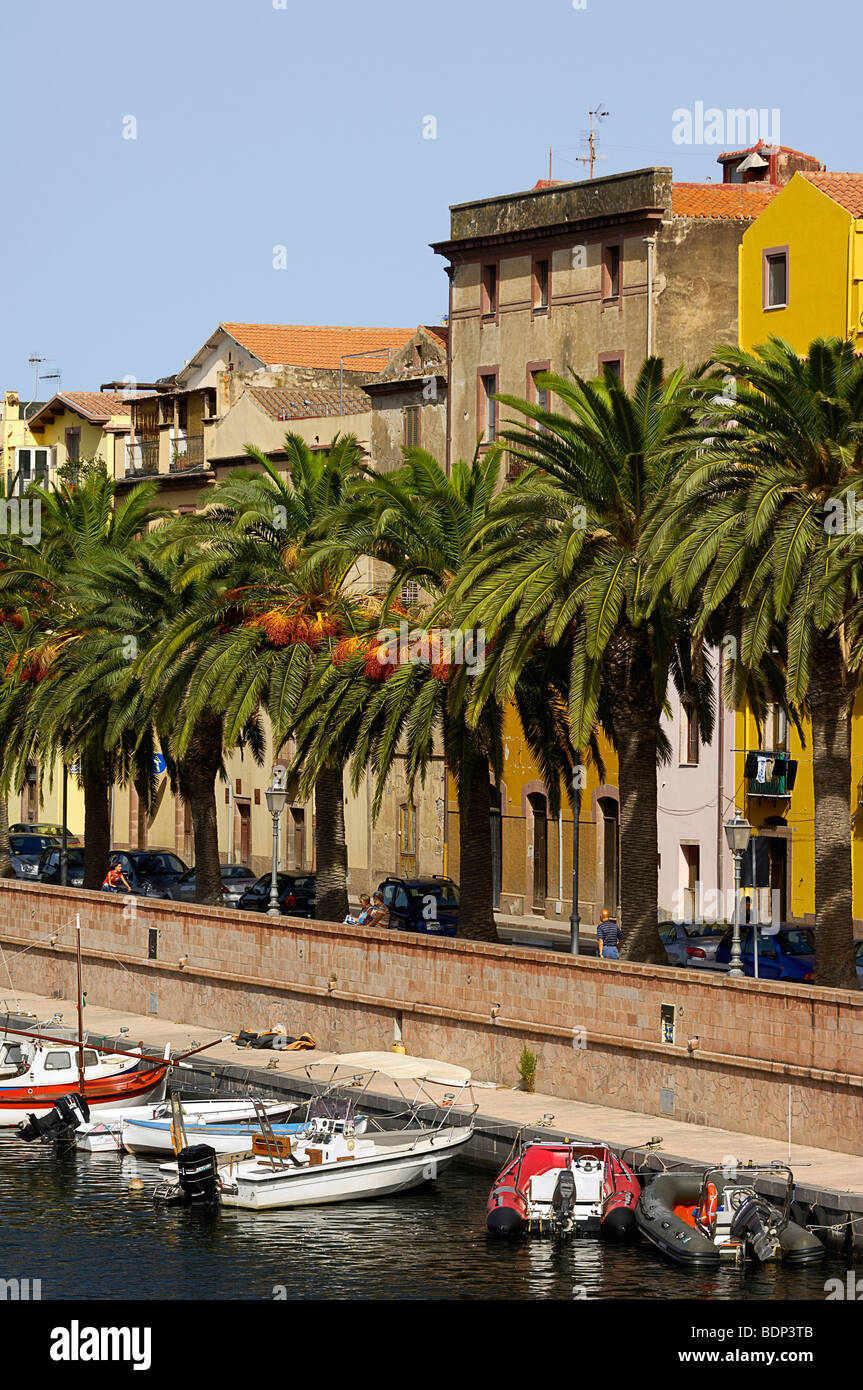 Palmen Sie mit Blick auf die Altstadt von Bosa, entlang der Promenade, Bosa, Oristano, Sardinien, Italien, Europa Stockfoto