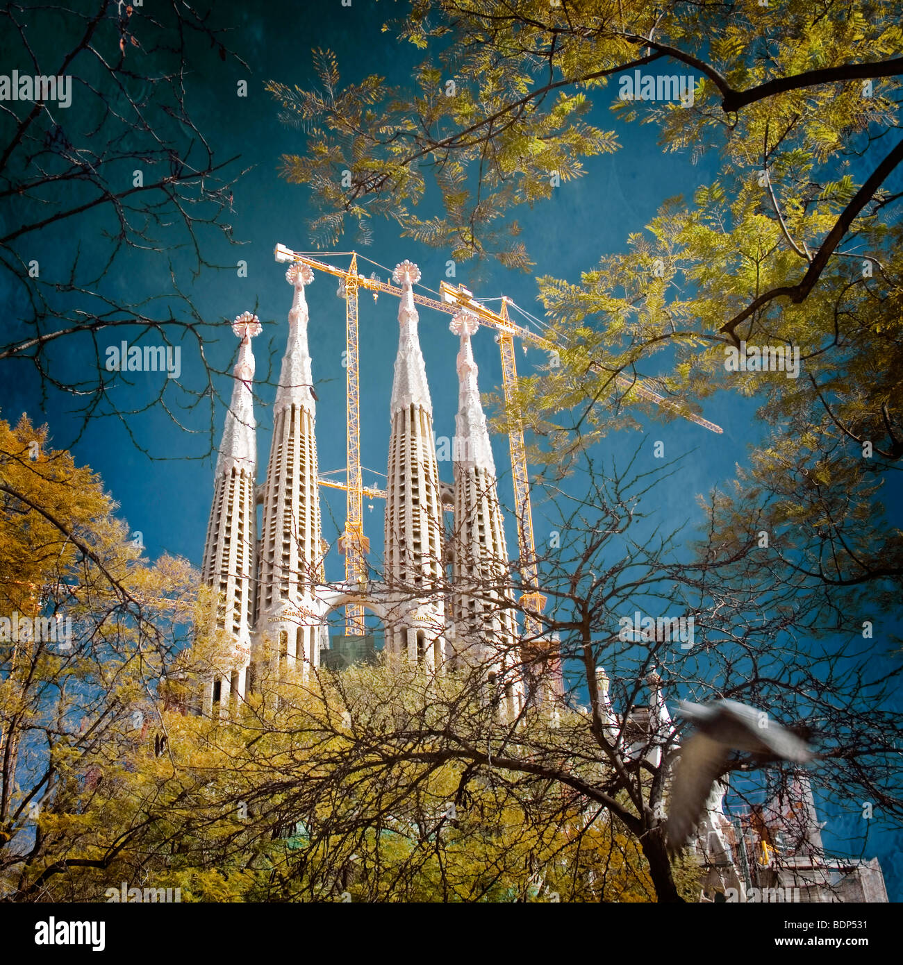 Sagrada Familia Barcelona Spanien Stockfoto