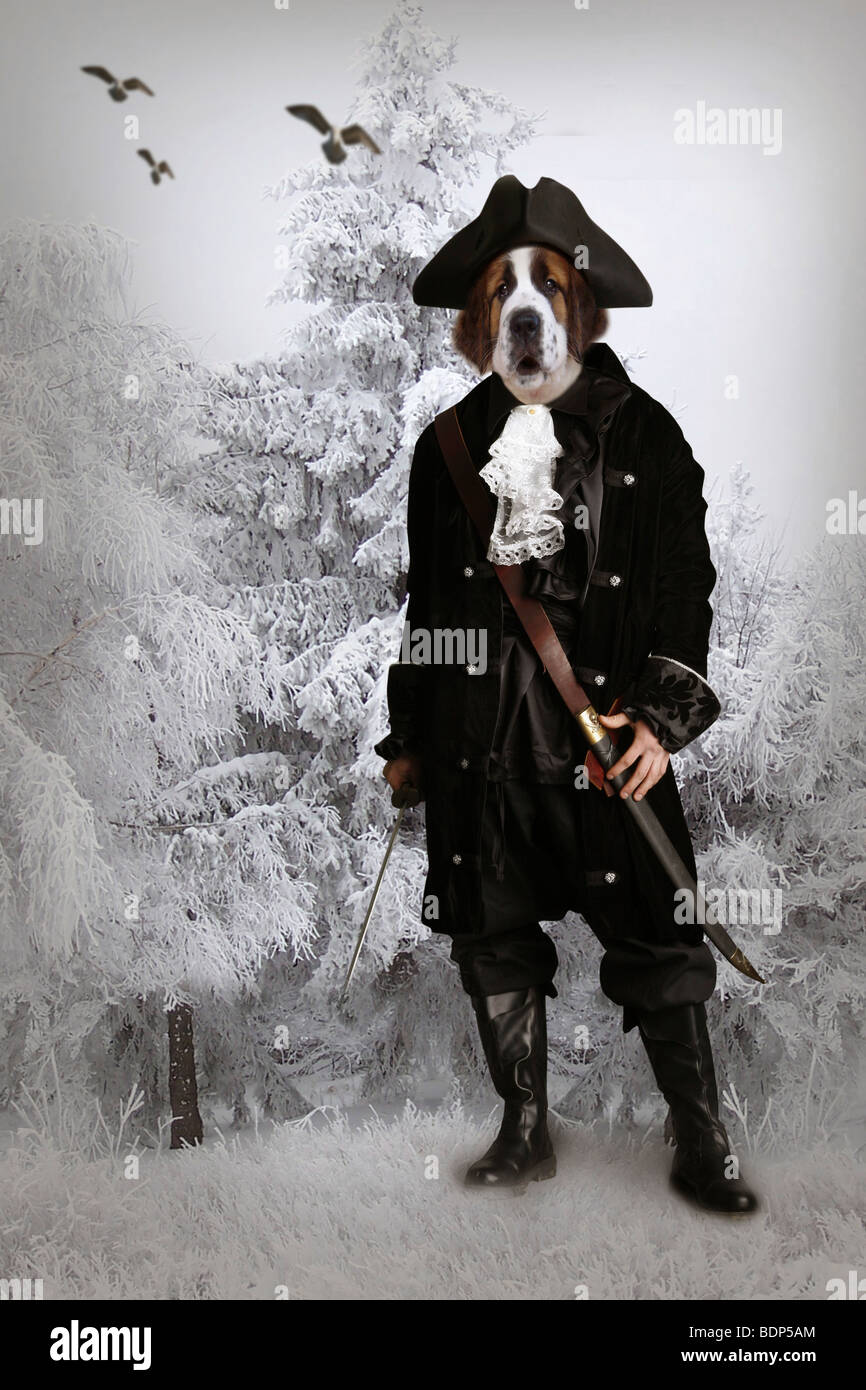 surreale Hund als Soldat verkleidet Stockfoto