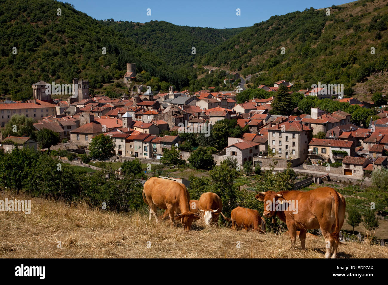 Blick über historische mittelalterliche Dorf von Blesle, Haute-Loire, mit lokalen Vieh Begrünung Auvergne, Frankreich. Stockfoto