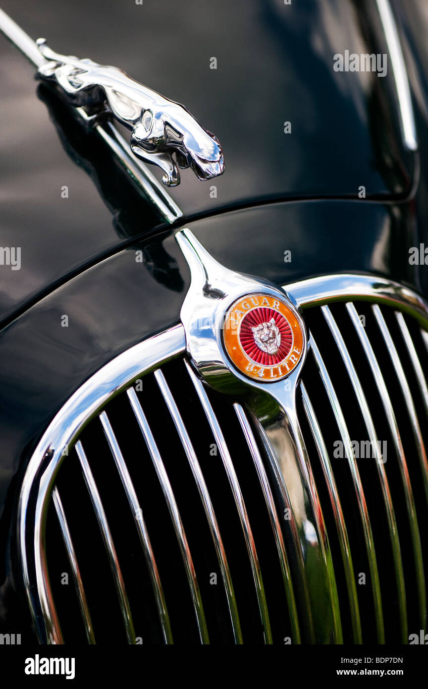 Jaguar 3,4 Liter Mk ich Salon. Springende Jaguar Maskottchen und Logo, britische Oldtimer Stockfoto