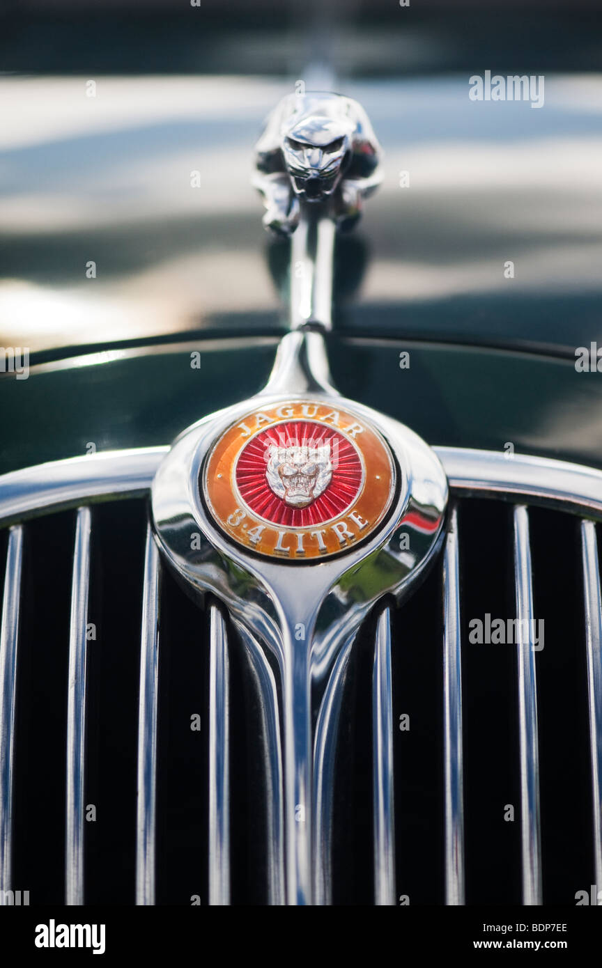 Jaguar 3,4 Liter Mk ich Salon. Springende Jaguar Maskottchen und Logo, britische Oldtimer Stockfoto