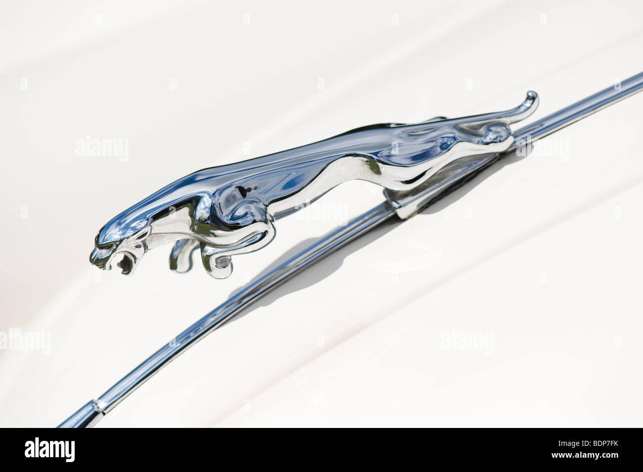 Jaguar XK 150 Roadster Sportwagen. Springenden jaguar Maskottchen, Klassische britische Autos Stockfoto