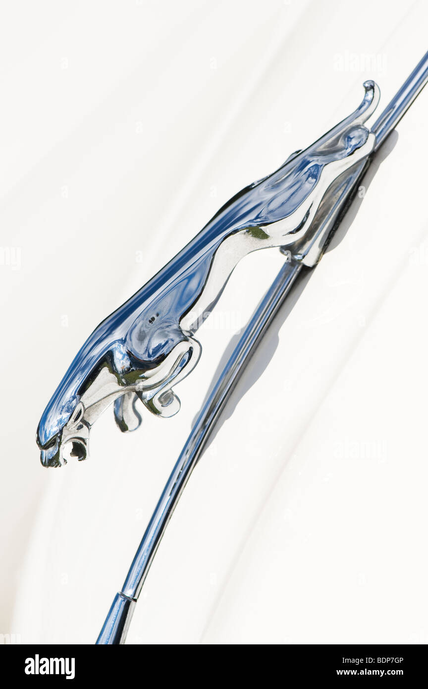 Jaguar XK 150 Roadster Sportwagen. Springenden jaguar Maskottchen, Klassische britische Autos Stockfoto