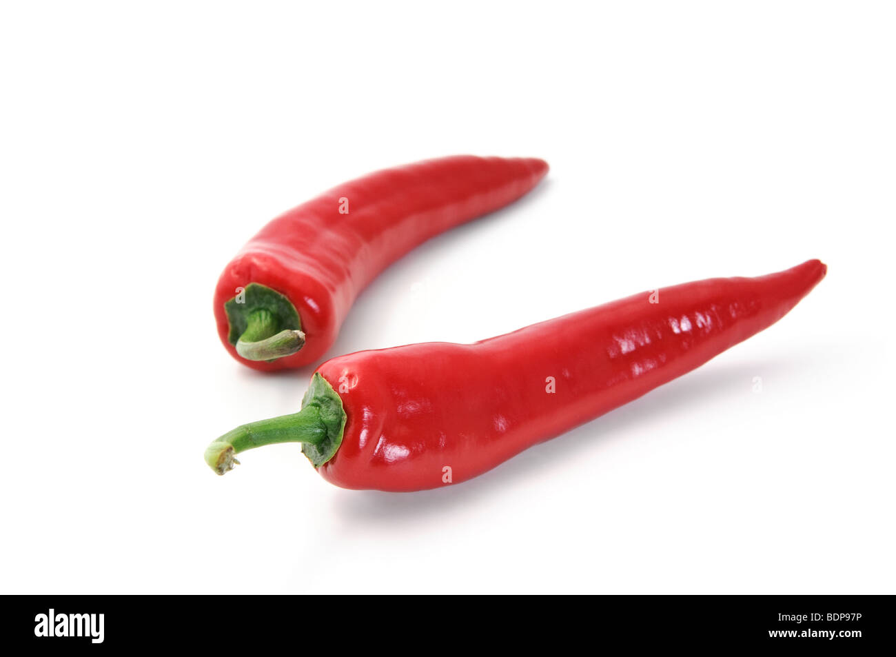 Rote scharfe Chilischoten, isoliert auf weiss Stockfoto