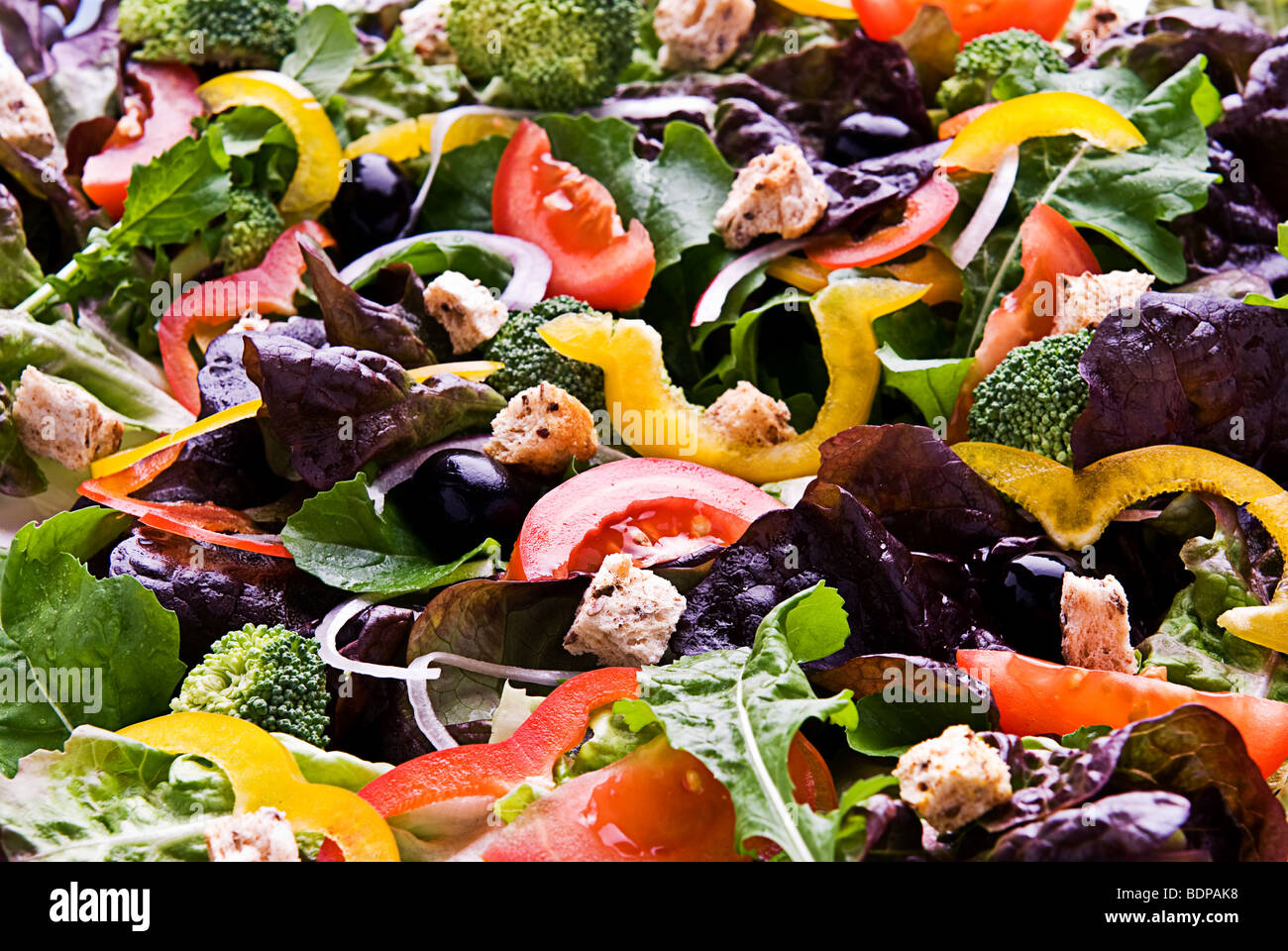 Ein gesunder Salat bestehend aus Salat, Tomaten, Paprika, Oliven-Croûtons und Zwiebeln. Stockfoto