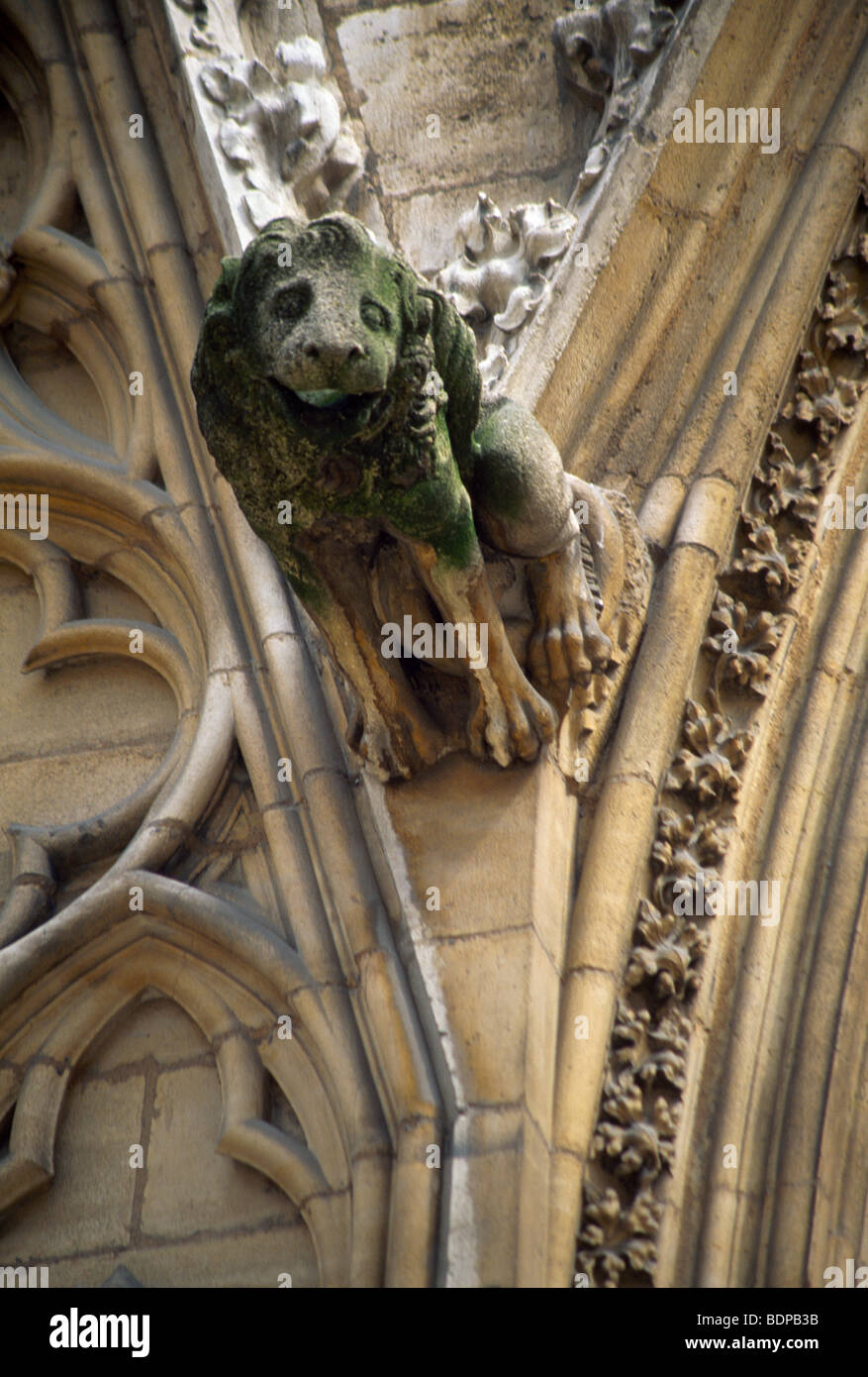 Lyon France Cathedrale Saint-Jean-Baptiste Gargoyle aus dem 14. Jahrhundert Stockfoto