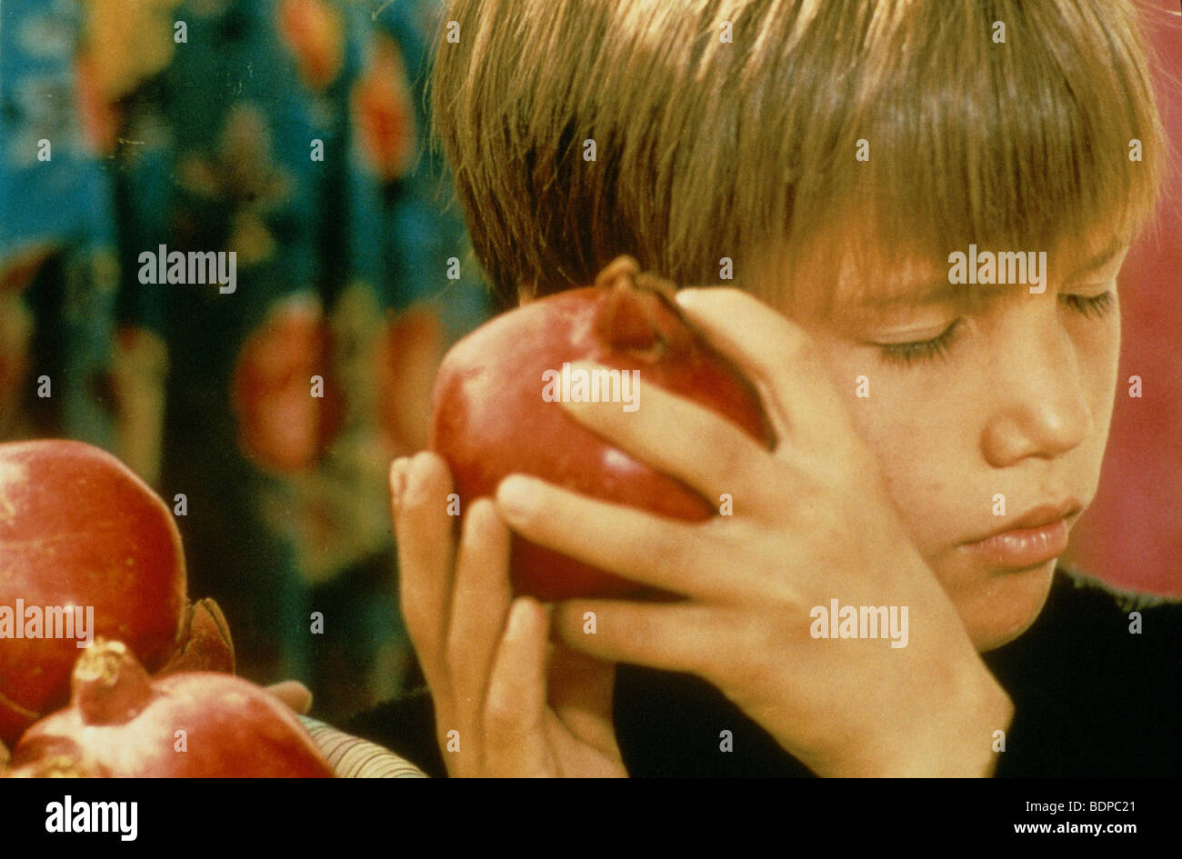 Sokout Jahr: 1998 Regie: Mohsen Makhmalbaf Tahmineh Normatova Stockfoto