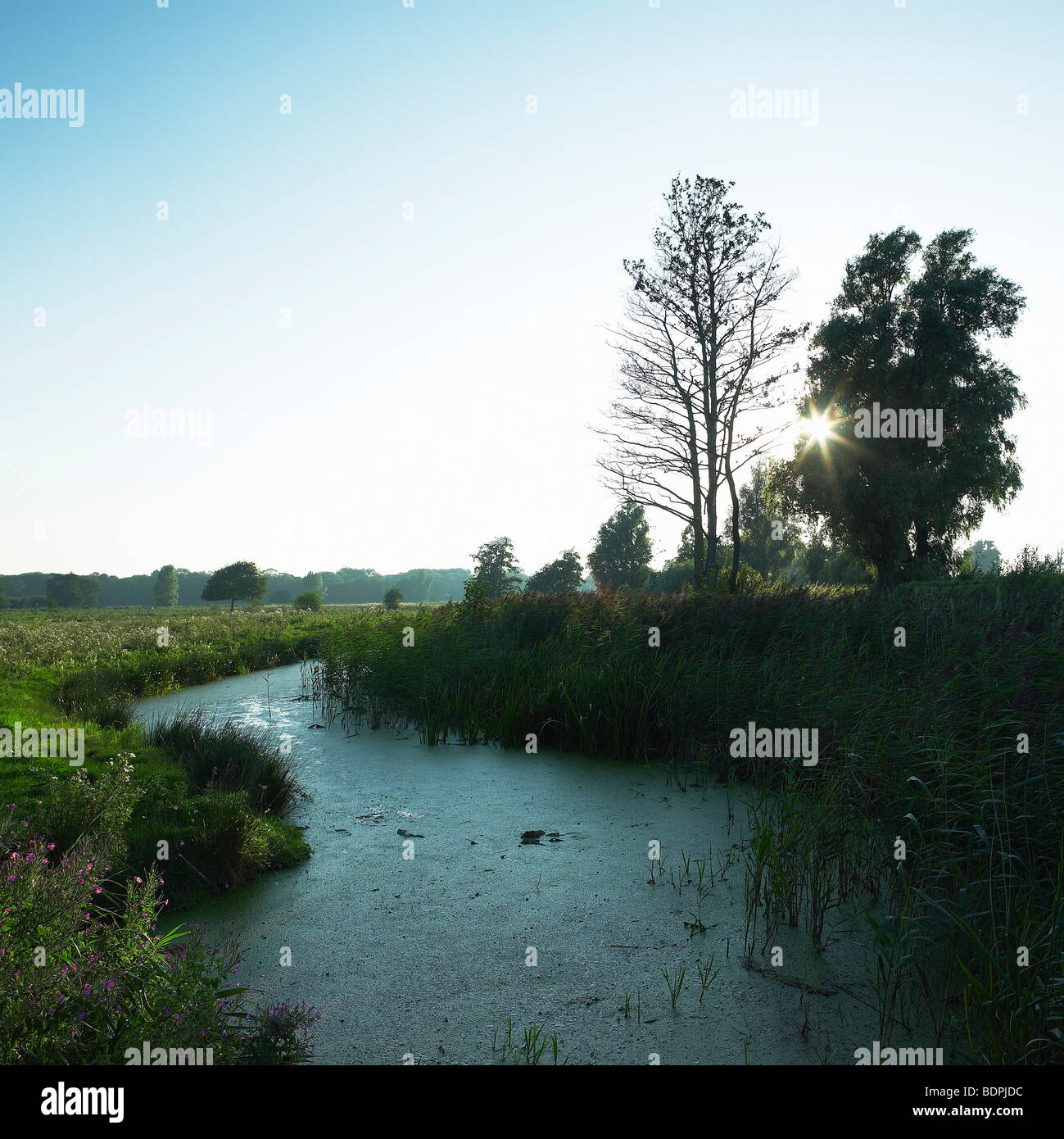 Ländliches Motiv von suffolk Stockfoto