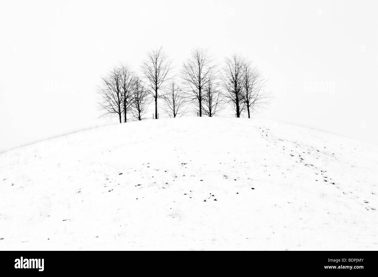Ländliches Motiv schwarz / weiß von Schnee bedeckt kleine Hügel mit Bäumen auf entnommen Cotswold Way in der Nähe von Old Sodbury, uk Stockfoto