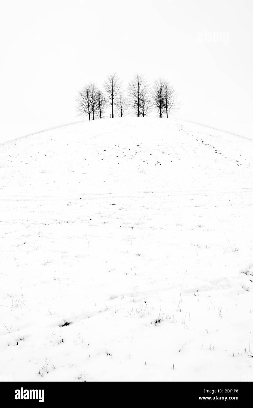 Ländliches Motiv schwarz / weiß von Schnee bedeckt kleine Hügel mit Bäumen auf entnommen Cotswold Way in der Nähe von Old Sodbury, uk Stockfoto