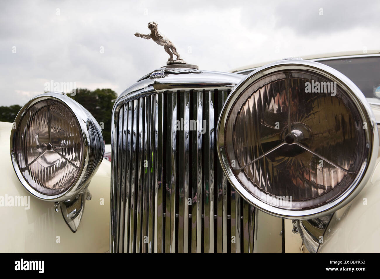 Autofahren, zuerst springenden Jaguar Maskottchen auf Vorderseite des 1936 machte British SS1.5 Auto Stockfoto