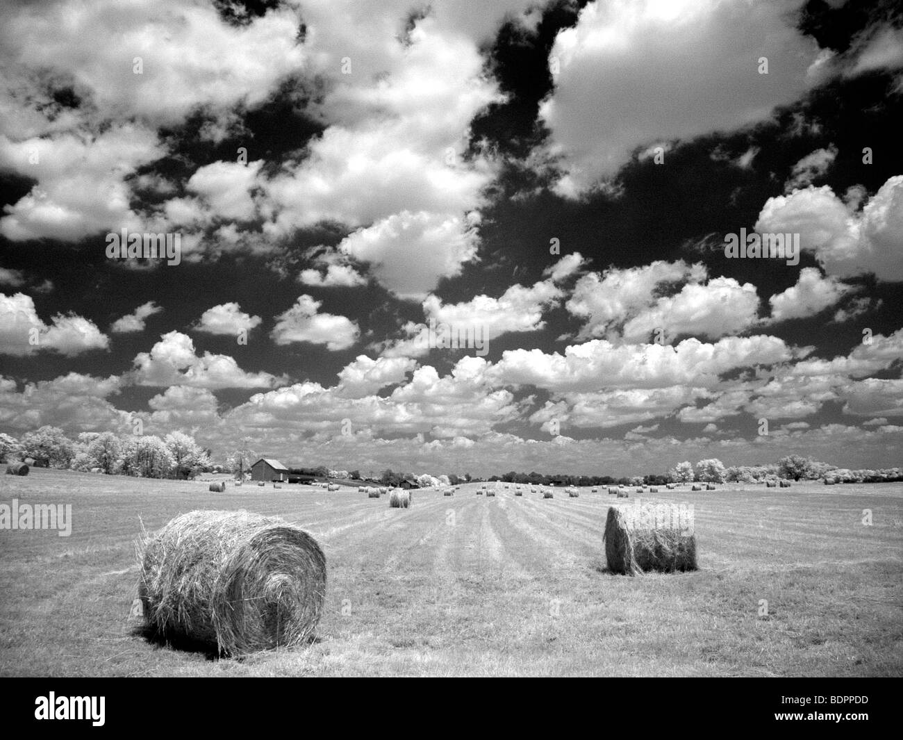 Hayfield mit Sommerwolken Stockfoto