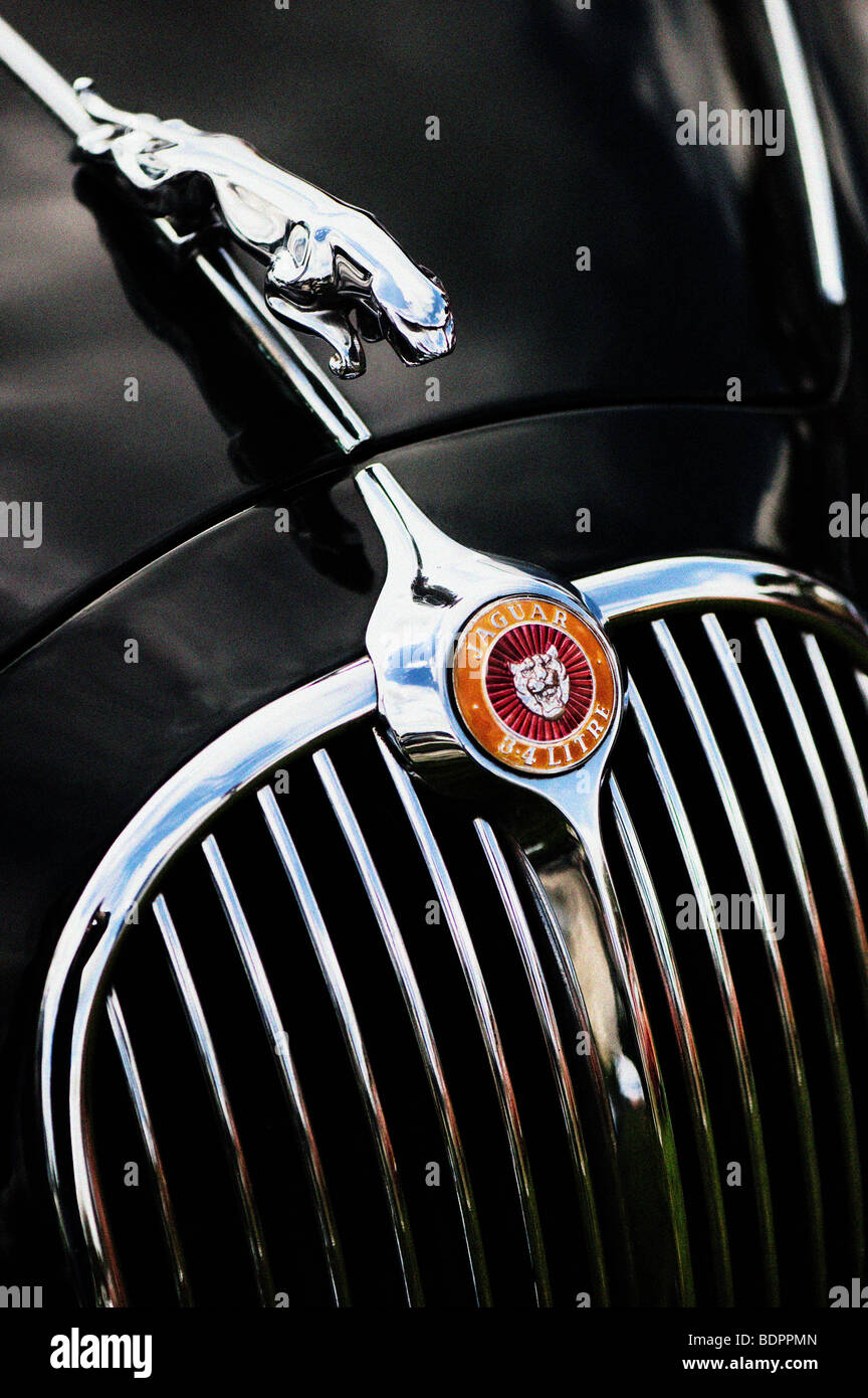 Jaguar 3,4 Liter Mk ich Salon. Springende Jaguar Maskottchen und Logo, britische Oldtimer Stockfoto