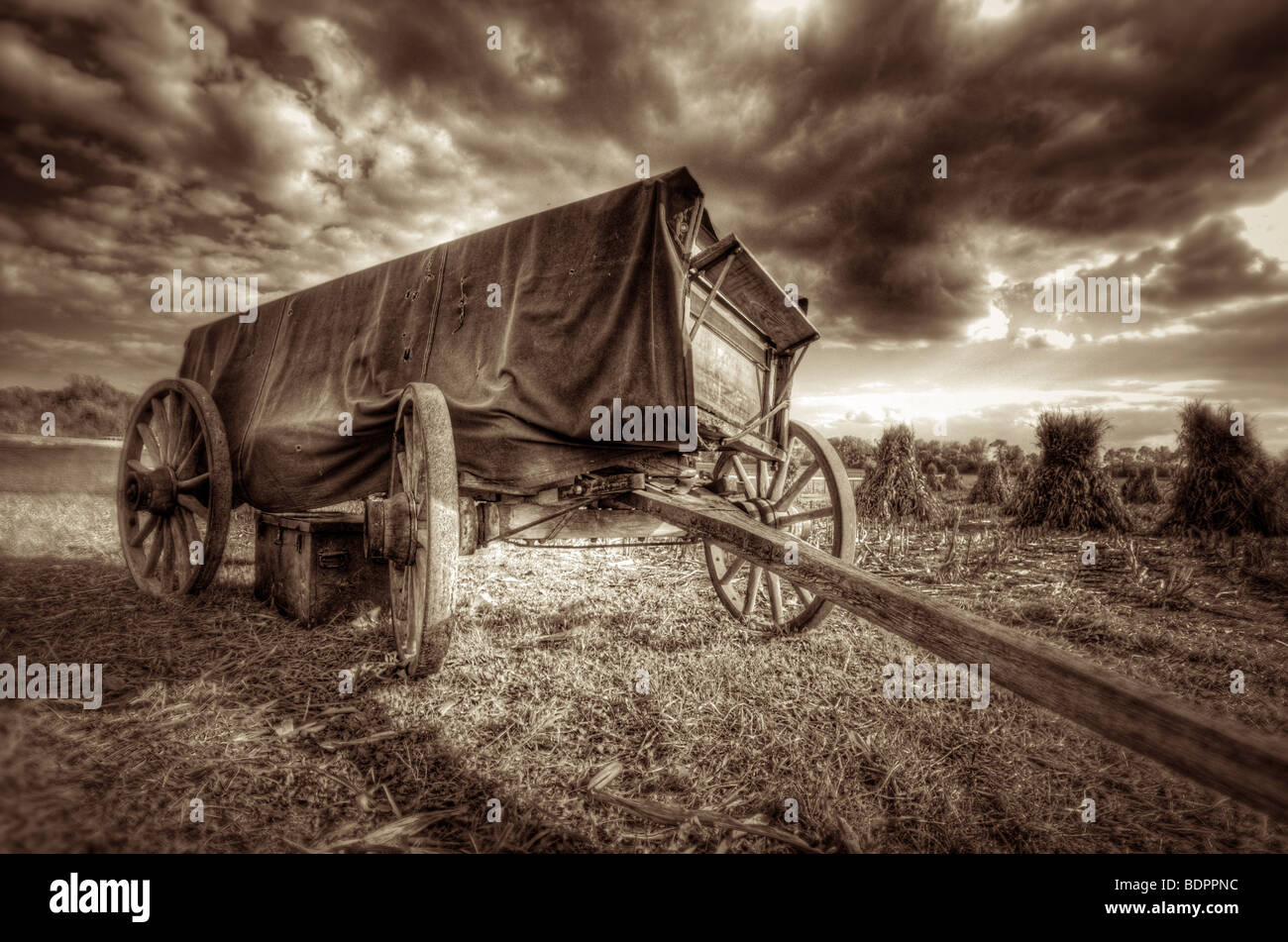 Ein altes Pferd gezogenen Wagen in einem Feld mit Heuballen Stockfoto