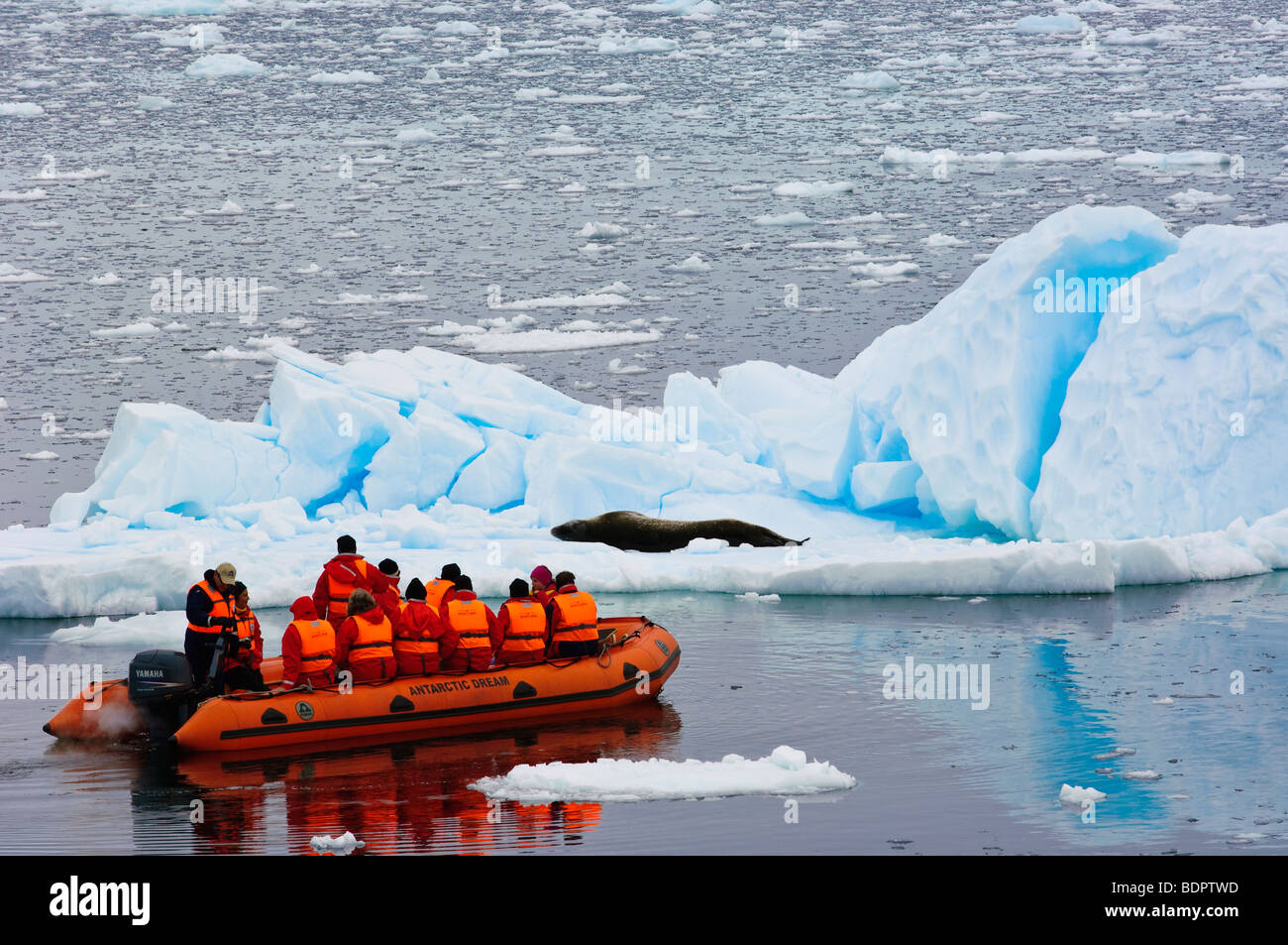 Paradise Bay Antarktis zu erforschen. Stockfoto