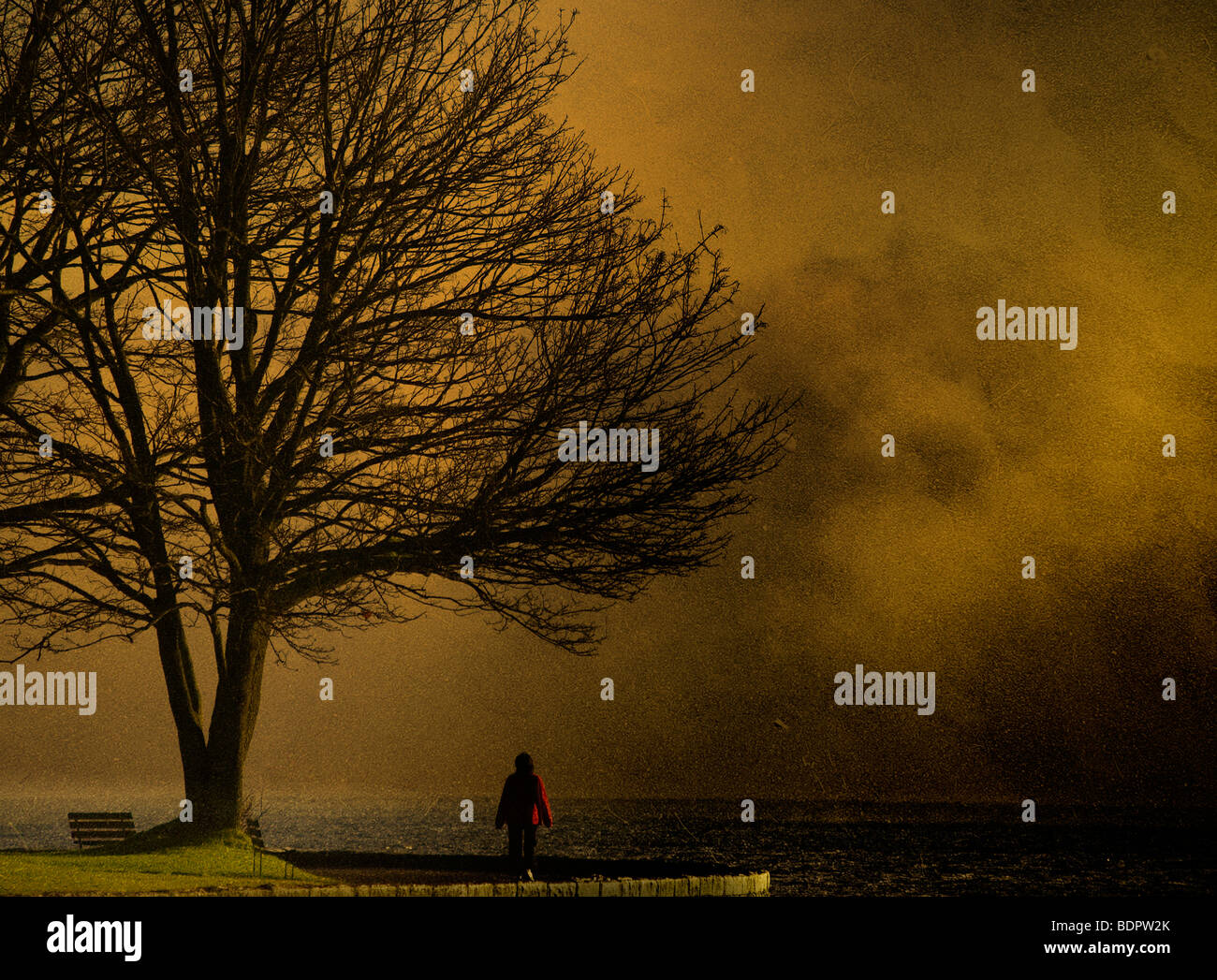 Eine Person steht neben einem Baum unter Gewitterhimmel Stockfoto