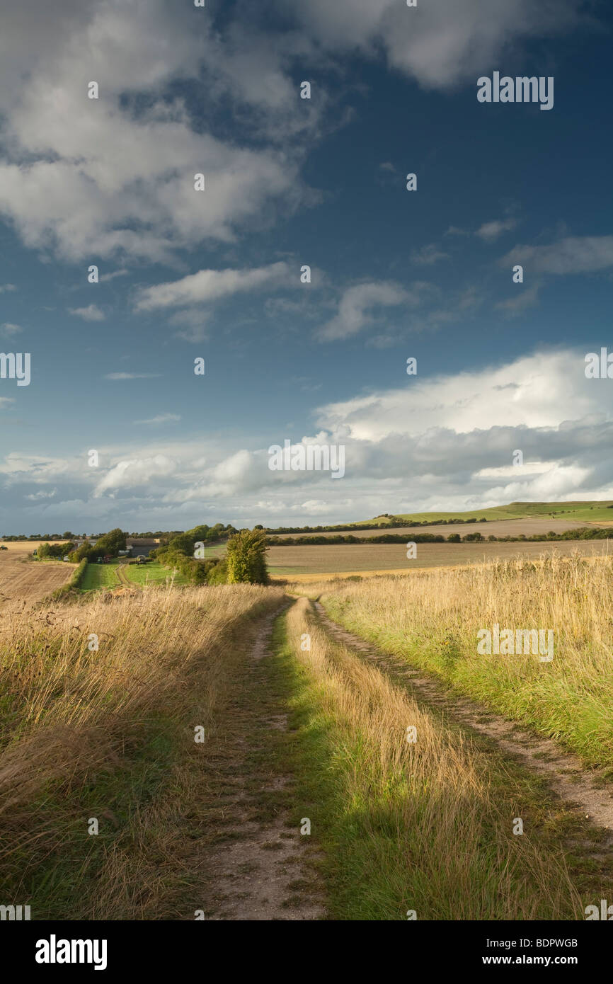 Blick in Richtung White Horse Hill bei Uffington, Oxfordshire, Vereinigtes Königreich Stockfoto