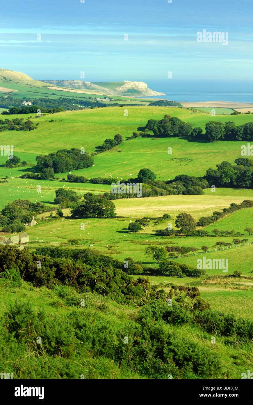 Purbeck Hills Dorset Stockfoto