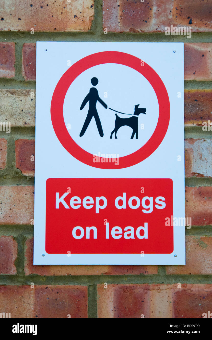 Halten Sie Hunde zu führen, auf ein Zeichen Stockfoto