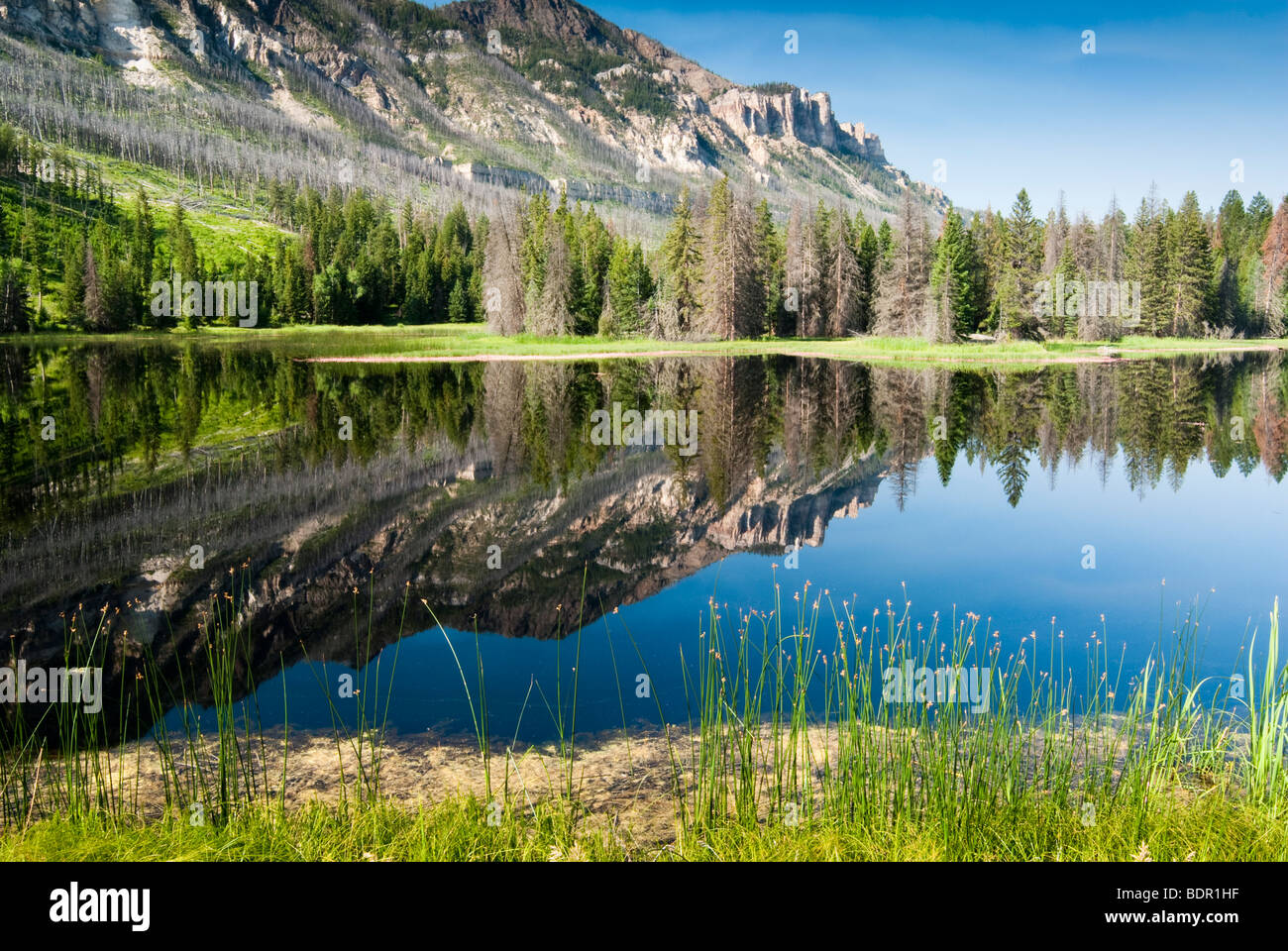 Reflexionen in einem See entlang Chief Joseph Scenic Byway in Wyoming. Stockfoto