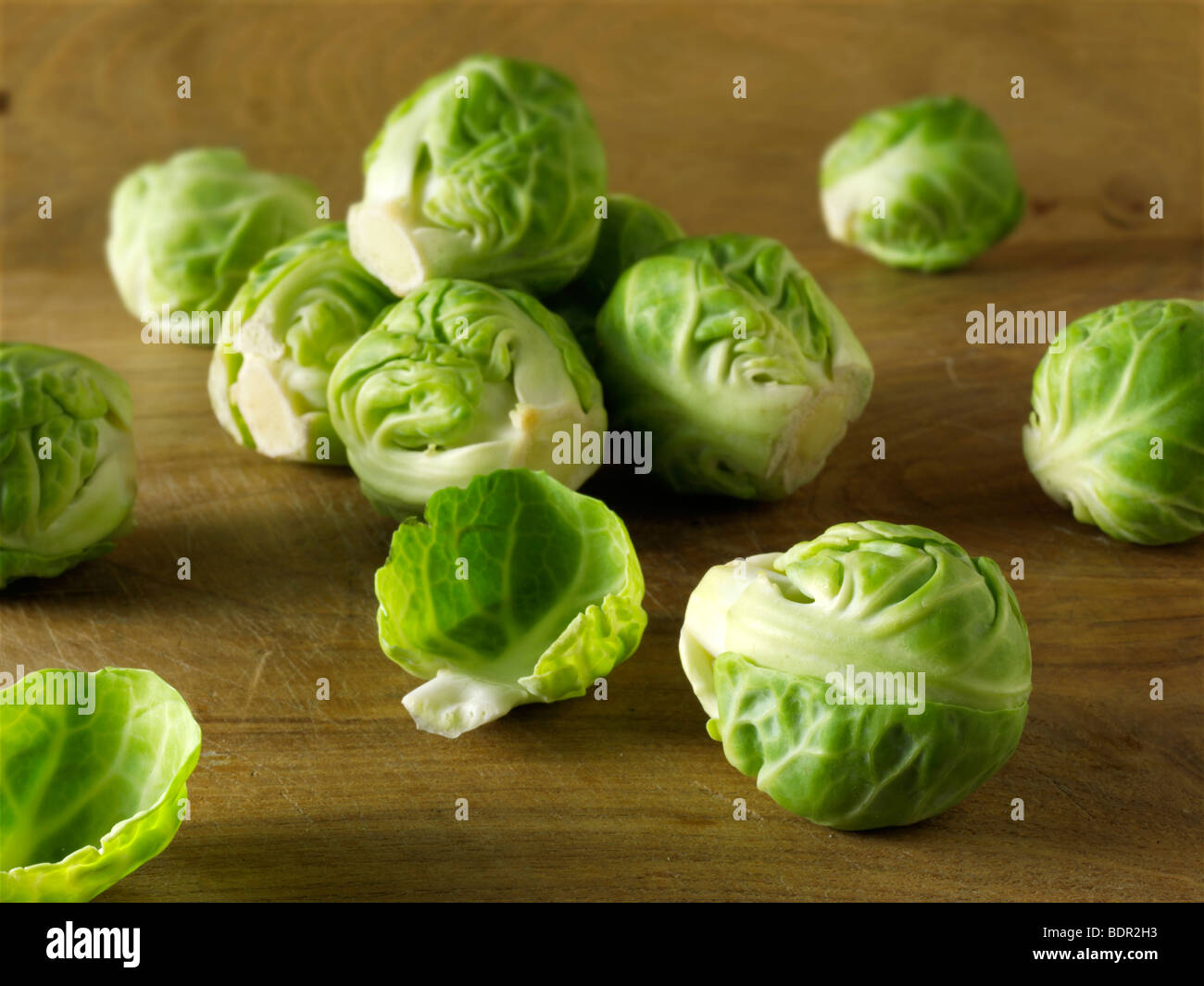 Frischer Rosenkohl Stockfoto