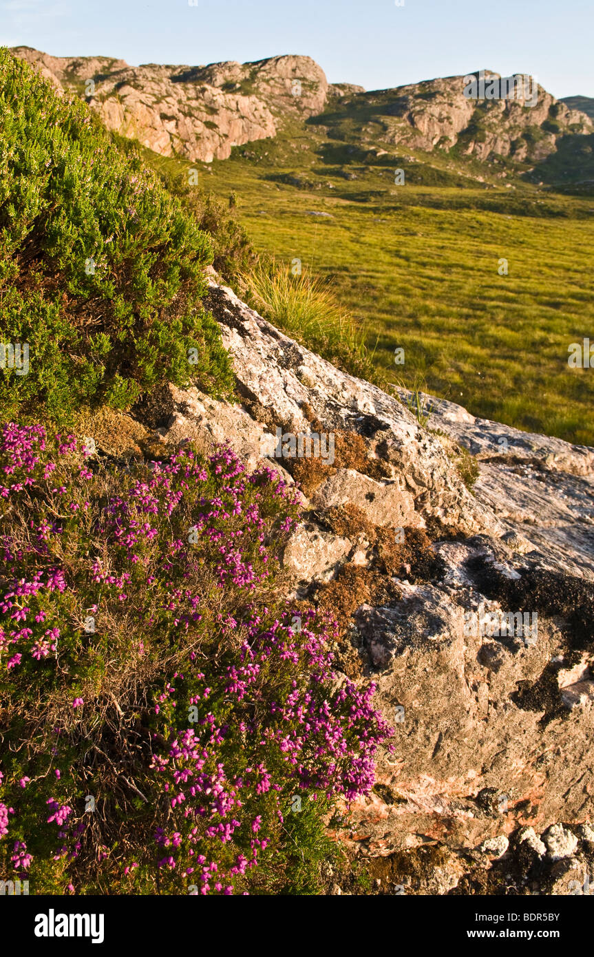 Loch Tollaidh, Schottland Stockfoto