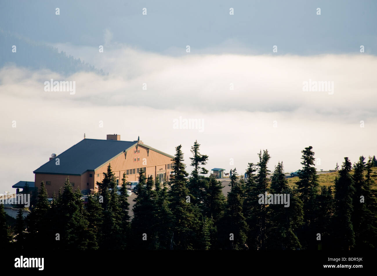 Meer der Wolken unterhalb des Hurricane Ridge Vistor Center, Olympic Nationalpark, Washington, USA Stockfoto