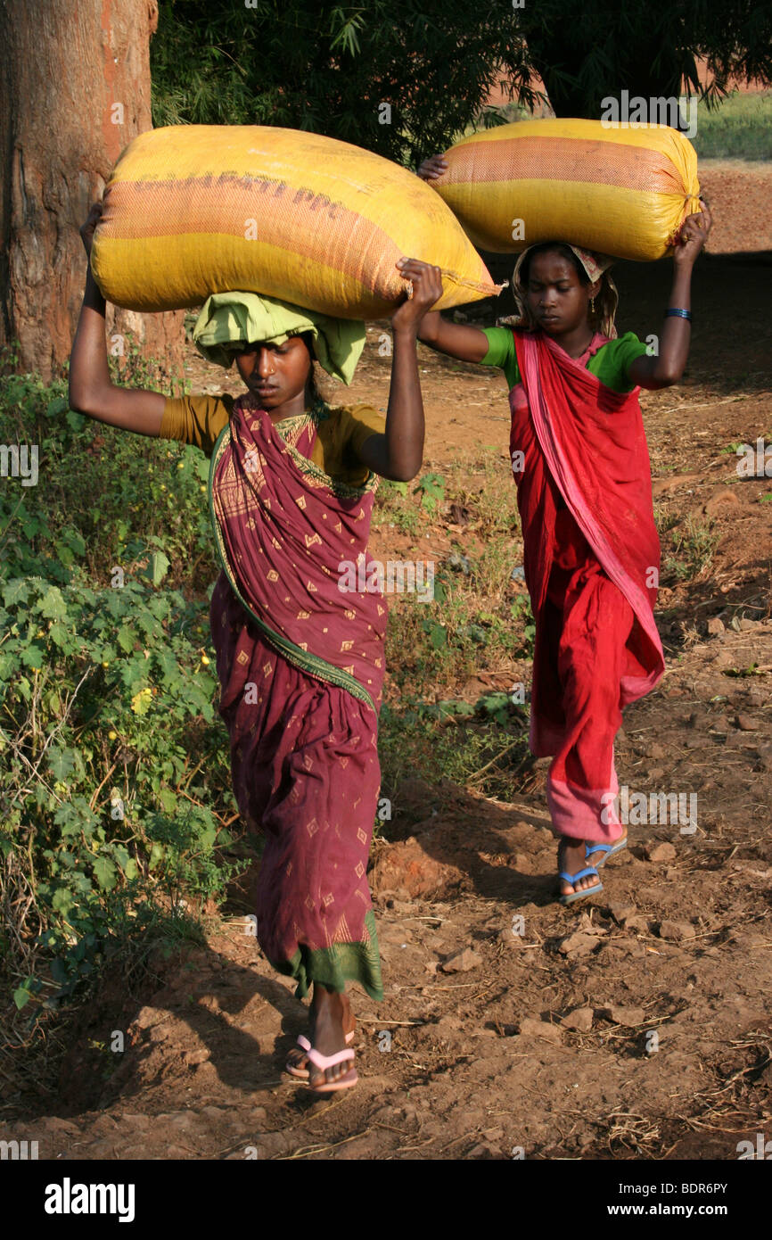 Zwei indische Frauen des Stammes Paroja schwere Säcke auf ihren Köpfen tragen Stockfoto