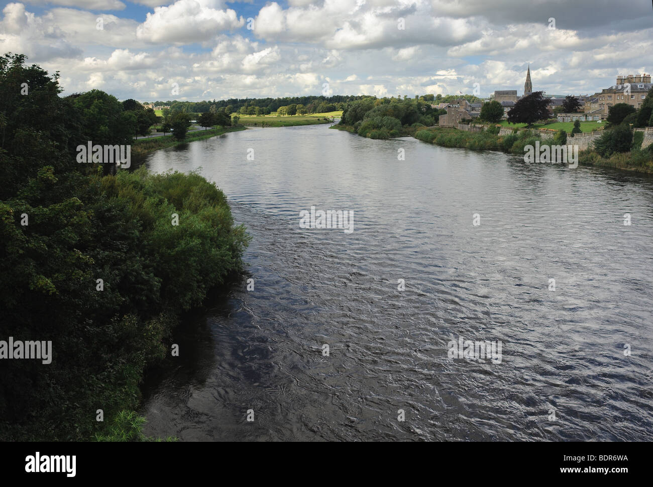 Junction Pool auf dem Fluss Tweed in Kelso, Schottland, Vereinigtes Königreich Stockfoto