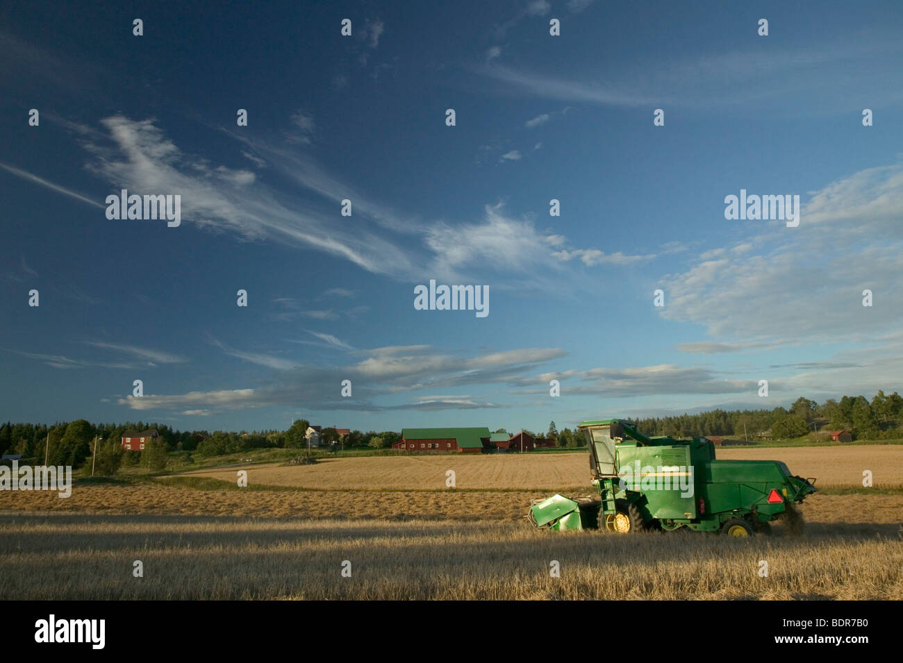 Ein Mähdrescher auf einem Feld-Schweden. Stockfoto