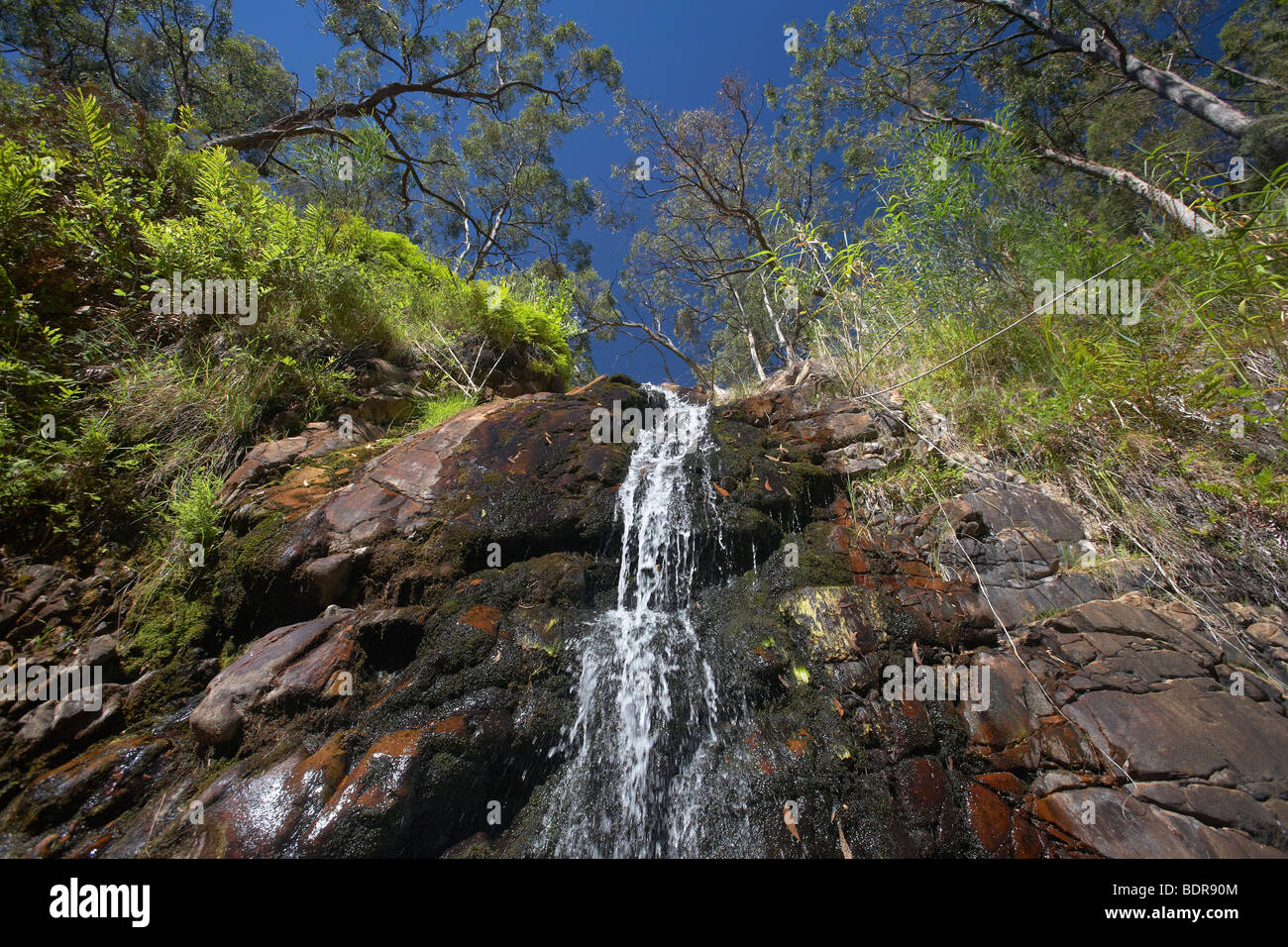 Naturwasserfall Szene Stockfoto