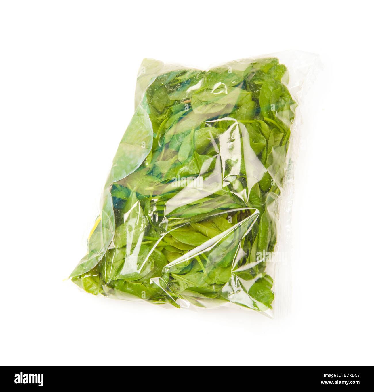 Baby Spinat einzelne Blätter Salat Koch Kochen grüne Greenfood Essen Pack  Kunststoff Folie Film Spinatsch Gemüse vegetarisches frisch verpackt  Stockfotografie - Alamy