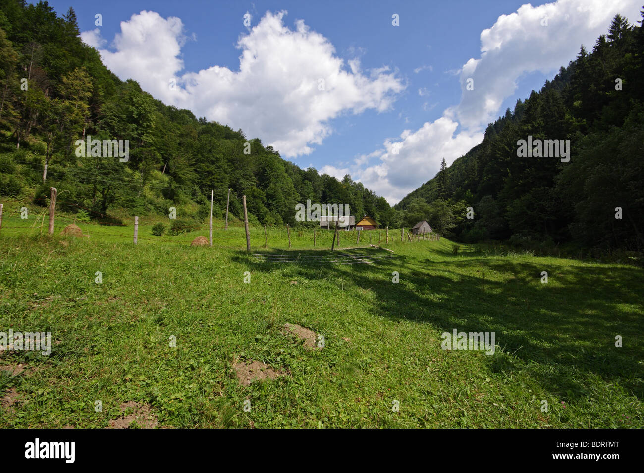 Karpaten, Ukraine Stockfoto