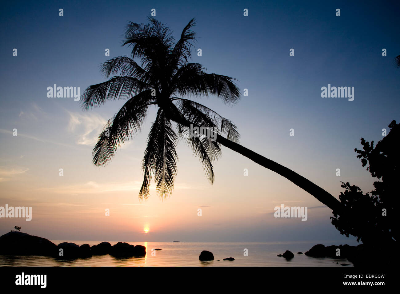 Sonnenuntergang mit Palme am Ao Plaay Laem, Koh Pha Ngan, Thailand Stockfoto