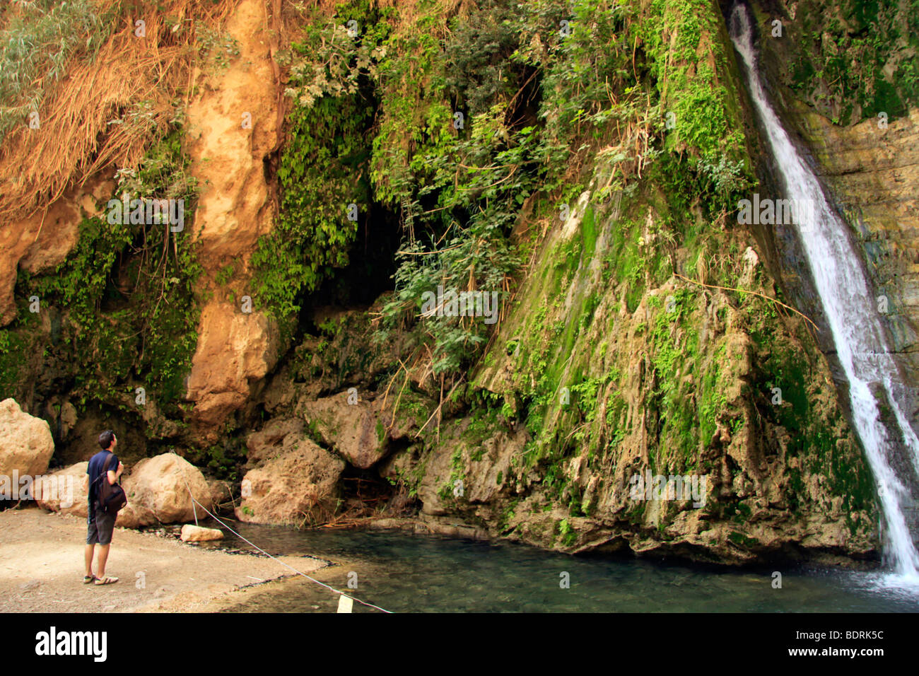 Israel, Judäische Wüste, David Wasserfall in Ein Gedi Stockfoto