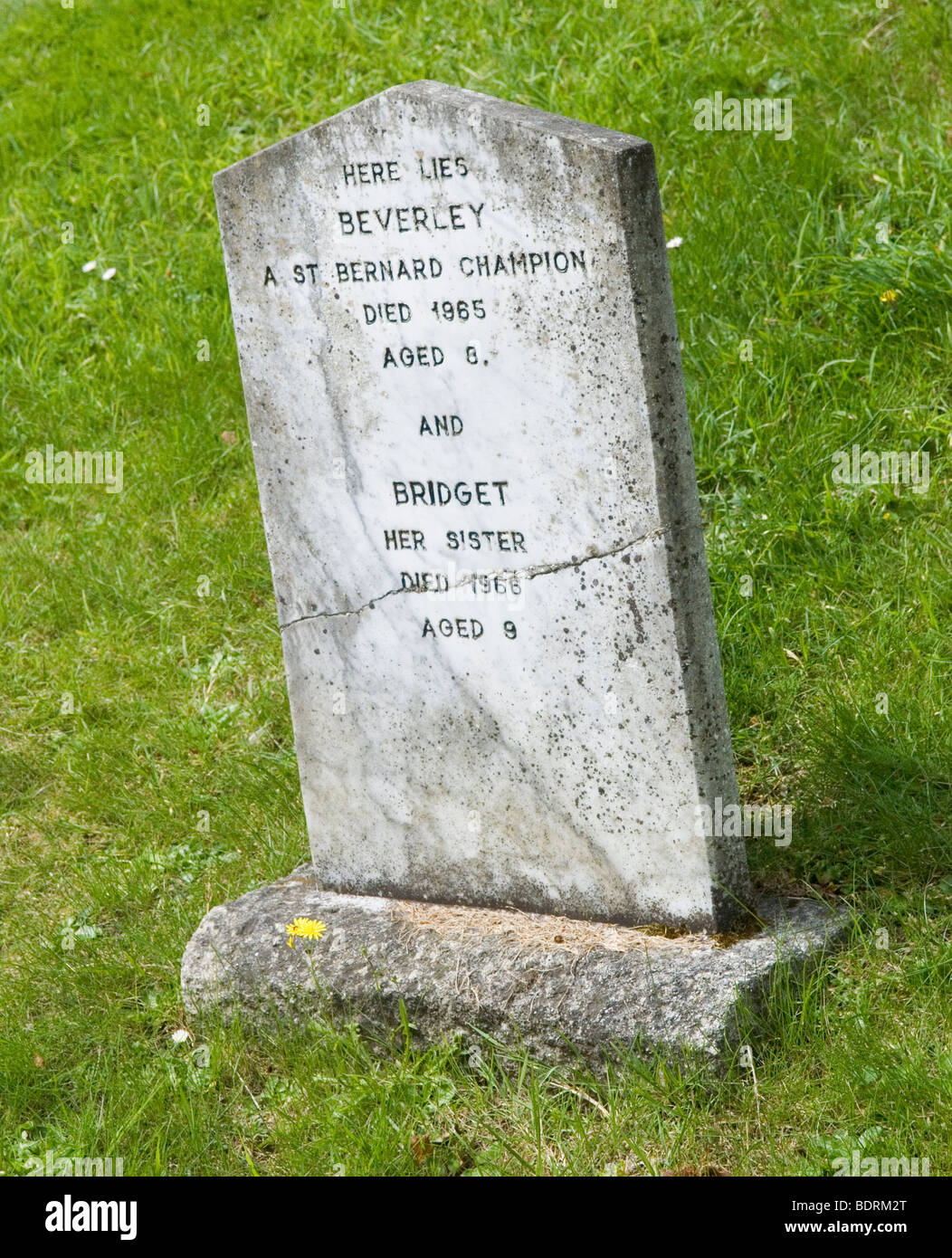 Ein Haustier Grab in Powerscourt Estate Haus und Garten, in der Nähe von Enniskerry im County Wicklow Irleand Stockfoto