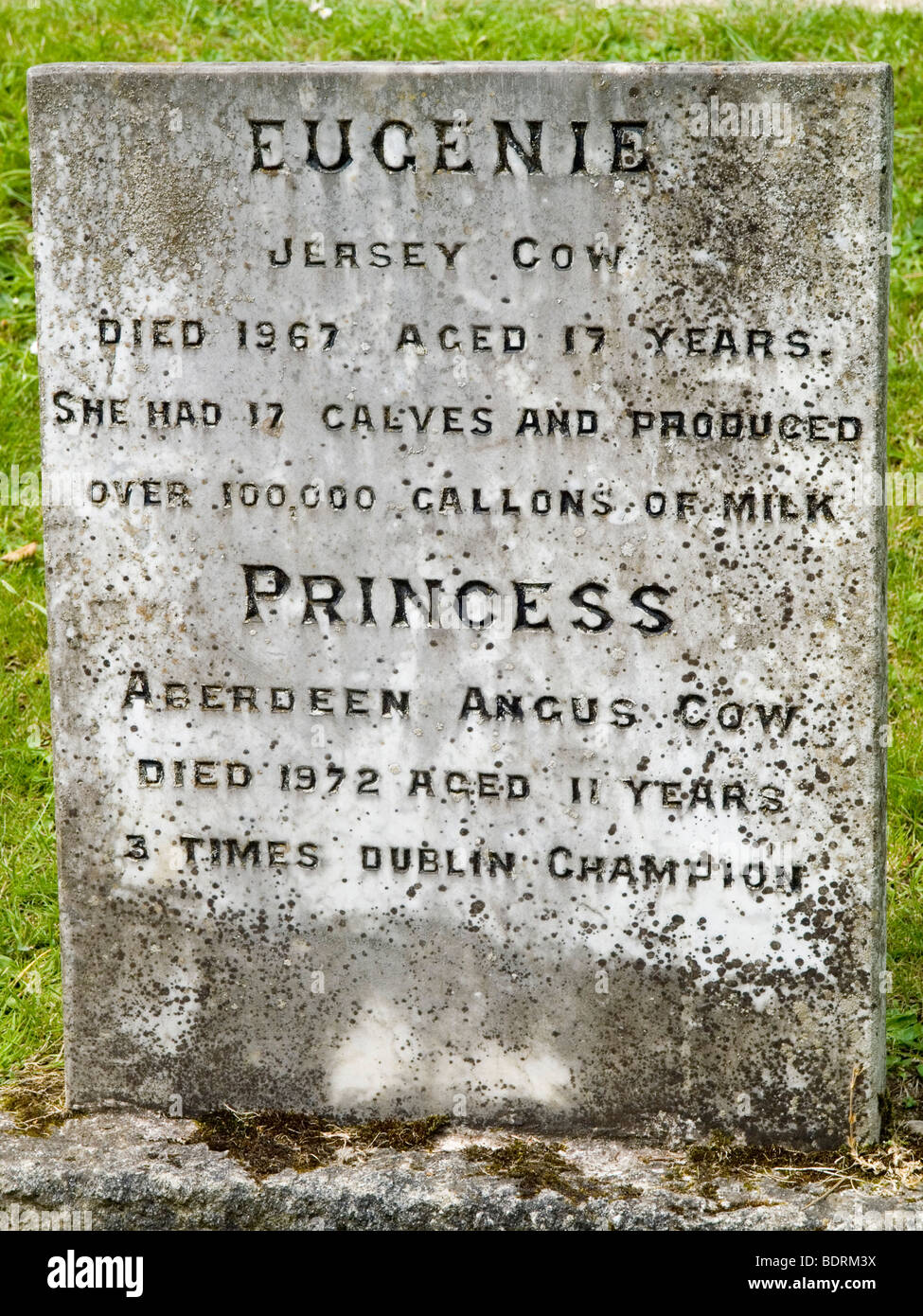 Ein Haustier Grab in Powerscourt Estate Haus und Garten, in der Nähe von Enniskerry im County Wicklow Irleand Stockfoto