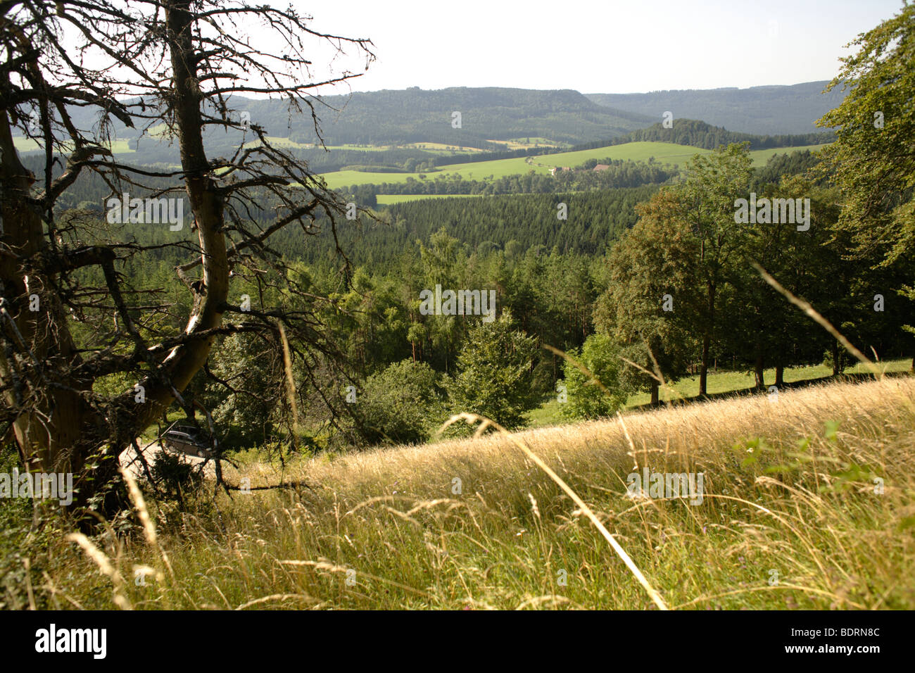 Blick vom Lochenstein im Donautal, sch.ools.it Alb, Donaubergland, Baden-Württemberg, Deutschland, Europa Stockfoto