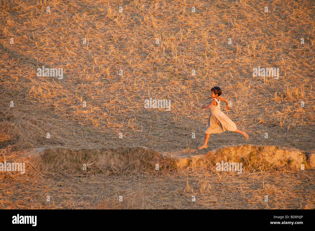 Junge burmesische Mädchen laufen über ein Reis-Paddy-Feld in der Nähe von Mrauk U, Rakhine Division, Arakhan Königreich, Myanmar, Burma, südöstlich Stockfoto