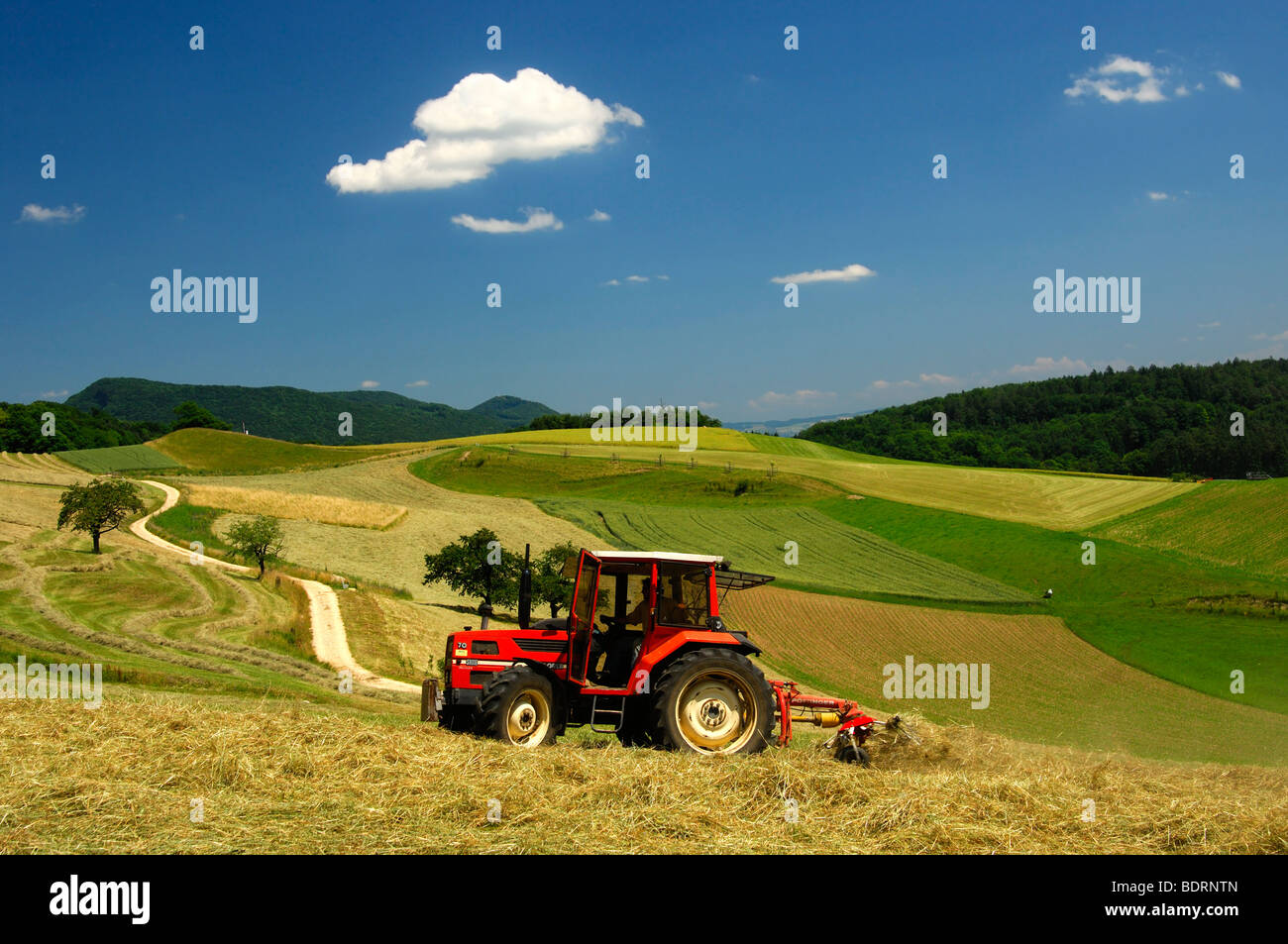 Traktor machen Heu auf den Wiesen im Schweizer Mittelland, Kanton Aargau,  Schweiz Stockfotografie - Alamy