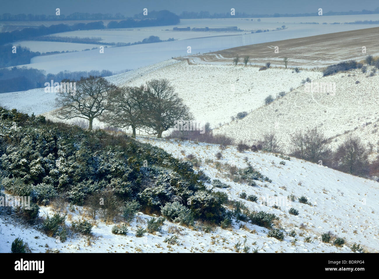 Eine Winterlandschaft in Wiltshire Downland Stockfoto