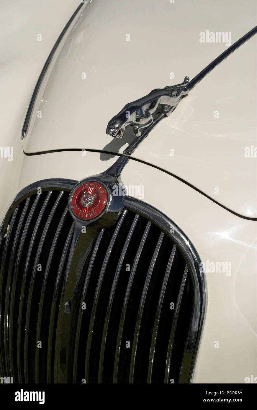 Eine 1966 3,4 Liter Jaguar Mk II - Grill, Abzeichen und Motorhaube Möbel. Stockfoto