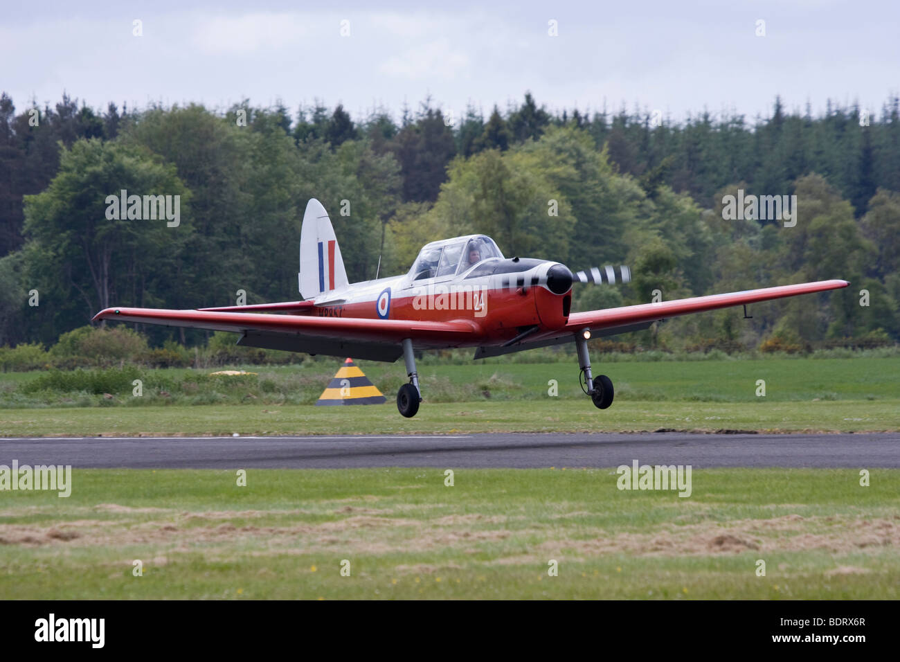 Caledonian Chipmunks aerobatic anzeigen Team fliegen de Havilland Chipmunk T10 Stockfoto