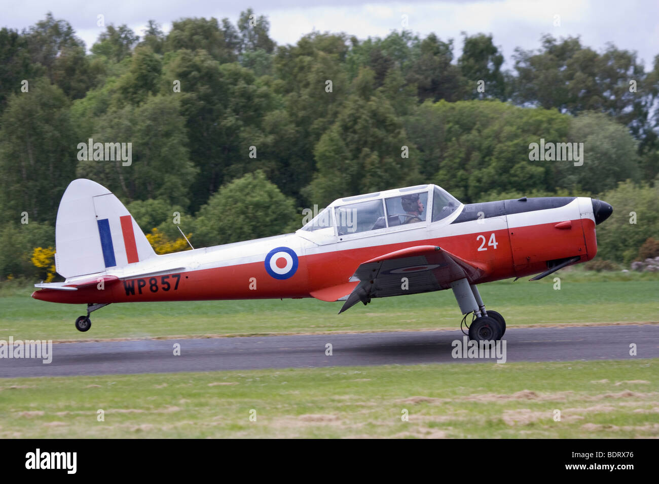 Caledonian Chipmunks aerobatic anzeigen Team fliegen de Havilland Chipmunk T10 Stockfoto
