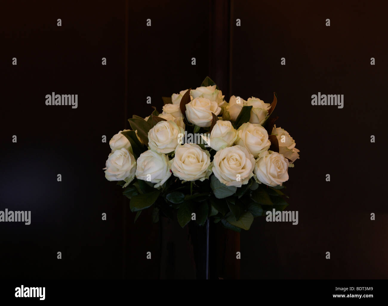 weiße Rosen in vase Stockfoto